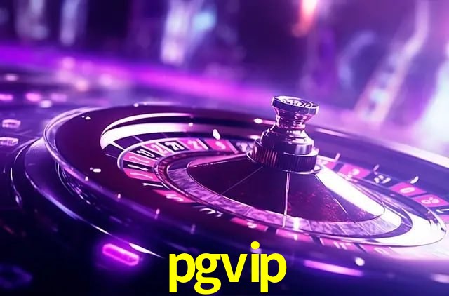 Interface Premium pgvip