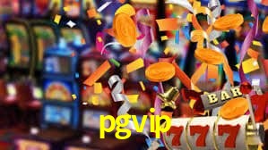 pgvip App Interface