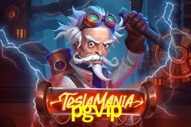 Tecnologia da Plataforma pgvip