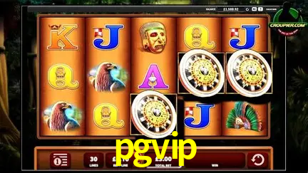 Descubra o Mundo do Cassino Online com pgvip